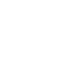 VIP Biography Logo
